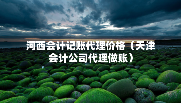 河西會計記賬代理價格（天津會計公司代理做賬）
