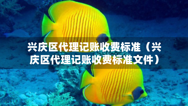 興慶區(qū)代理記賬收費標準（興慶區(qū)代理記賬收費標準文件）