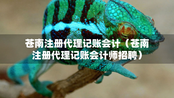 蒼南注冊(cè)代理記賬會(huì)計(jì)（蒼南注冊(cè)代理記賬會(huì)計(jì)師招聘）