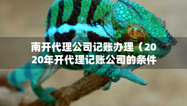 南開(kāi)代理公司記賬辦理（2020年開(kāi)代理記賬公司的條件）