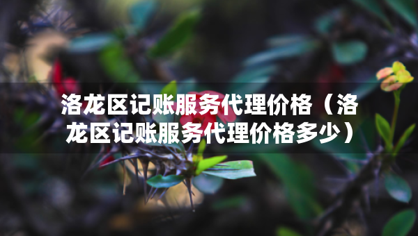 洛龍區(qū)記賬服務(wù)代理價(jià)格（洛龍區(qū)記賬服務(wù)代理價(jià)格多少）
