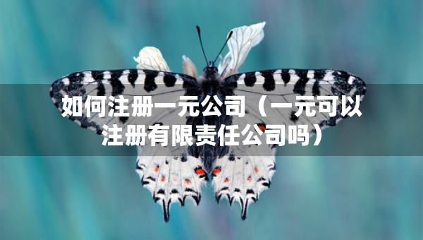 如何注冊一元公司（一元可以注冊有限責(zé)任公司嗎）