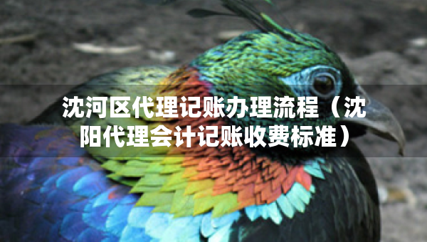 沈河區(qū)代理記賬辦理流程（沈陽代理會(huì)計(jì)記賬收費(fèi)標(biāo)準(zhǔn)）