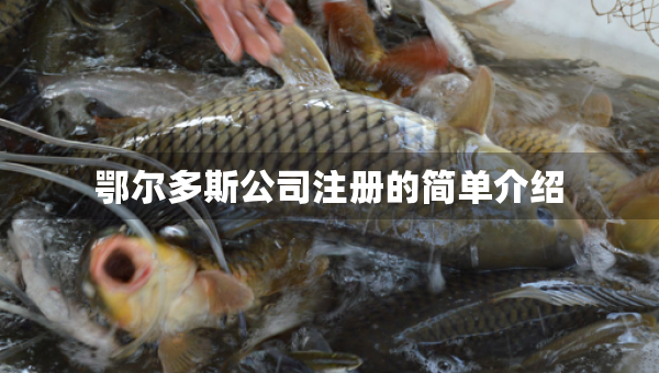 鄂爾多斯公司注冊(cè)的簡(jiǎn)單介紹
