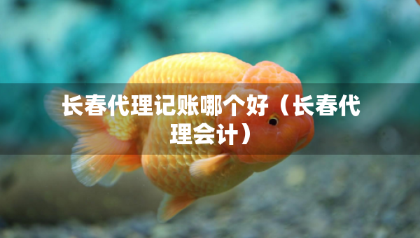 長春代理記賬哪個好（長春代理會計(jì)）