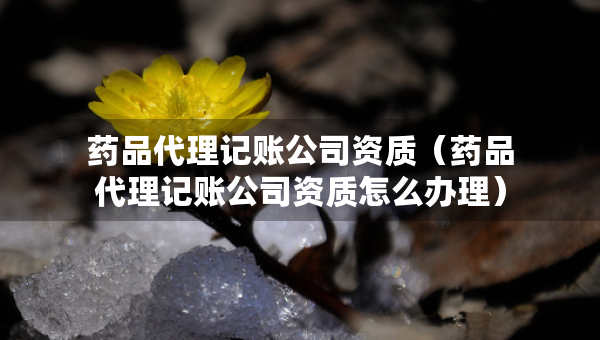 藥品代理記賬公司資質(zhì)（藥品代理記賬公司資質(zhì)怎么辦理）