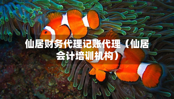 仙居財(cái)務(wù)代理記賬代理（仙居會(huì)計(jì)培訓(xùn)機(jī)構(gòu)）