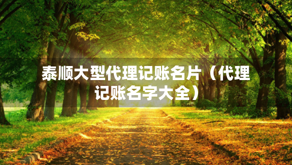 泰順大型代理記賬名片（代理記賬名字大全）