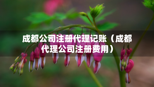成都公司注冊(cè)代理記賬（成都代理公司注冊(cè)費(fèi)用）