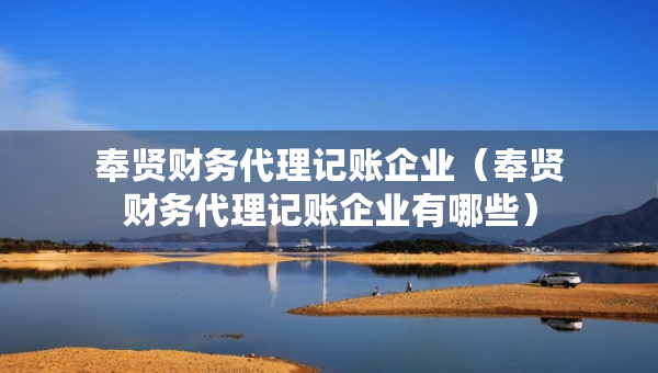 奉賢財(cái)務(wù)代理記賬企業(yè)（奉賢財(cái)務(wù)代理記賬企業(yè)有哪些）