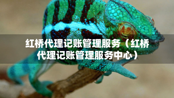 紅橋代理記賬管理服務(wù)（紅橋代理記賬管理服務(wù)中心）