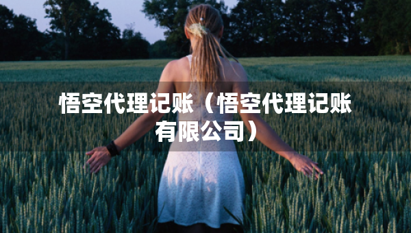 悟空代理記賬（悟空代理記賬有限公司）