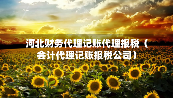 河北財務代理記賬代理報稅（會計代理記賬報稅公司）