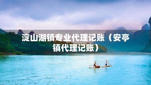 淀山湖鎮(zhèn)專業(yè)代理記賬（安亭鎮(zhèn)代理記賬）