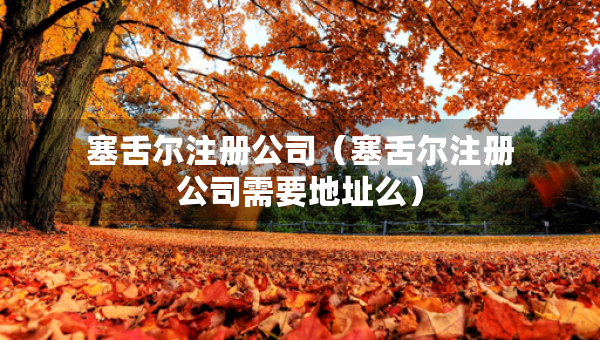 塞舌爾注冊(cè)公司（塞舌爾注冊(cè)公司需要地址么）