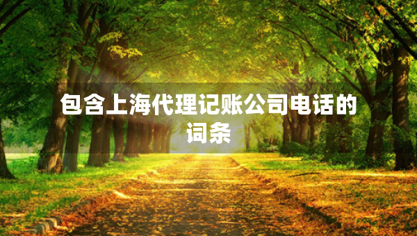 包含上海代理記賬公司電話的詞條