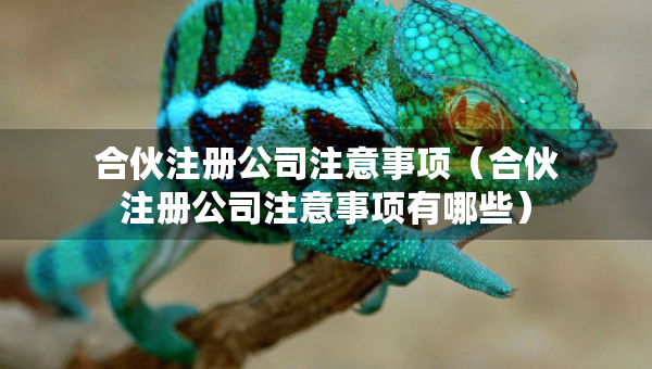 合伙注冊(cè)公司注意事項(xiàng)（合伙注冊(cè)公司注意事項(xiàng)有哪些）