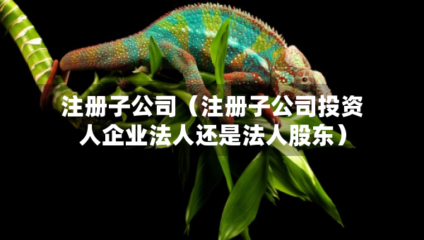注冊(cè)子公司（注冊(cè)子公司投資人企業(yè)法人還是法人股東）