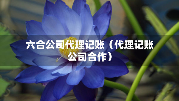 六合公司代理記賬（代理記賬公司合作）