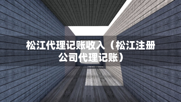 松江代理記賬收入（松江注冊公司代理記賬）
