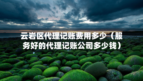 云巖區(qū)代理記賬費(fèi)用多少（服務(wù)好的代理記賬公司多少錢）
