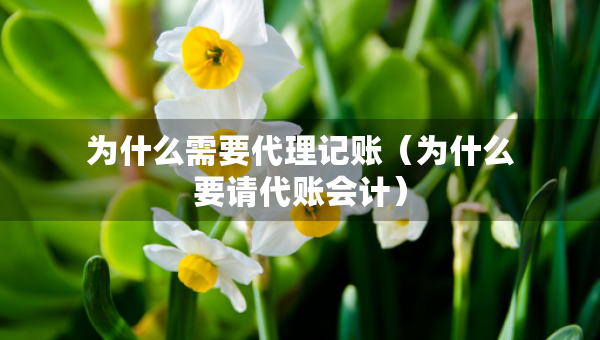 為什么需要代理記賬（為什么要請代賬會計）