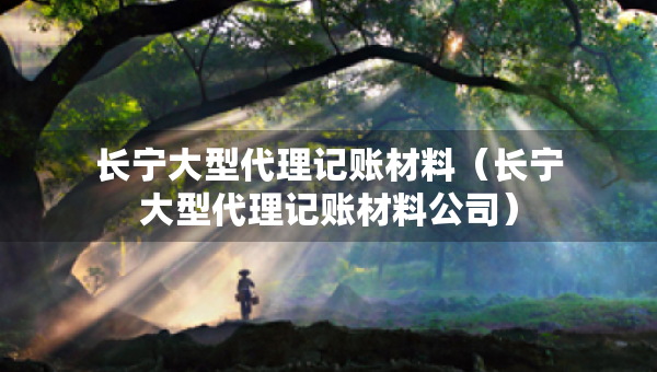 長(zhǎng)寧大型代理記賬材料（長(zhǎng)寧大型代理記賬材料公司）