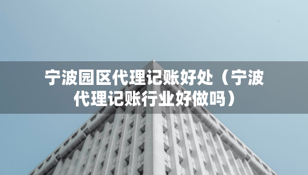 寧波園區(qū)代理記賬好處（寧波代理記賬行業(yè)好做嗎）