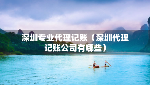 深圳專業(yè)代理記賬（深圳代理記賬公司有哪些）