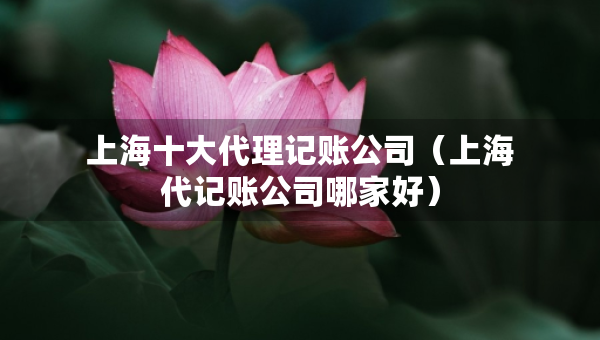 上海十大代理記賬公司（上海代記賬公司哪家好）