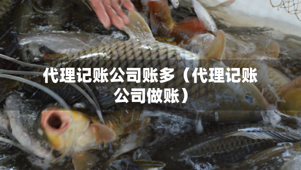 代理記賬公司賬多（代理記賬公司做賬）