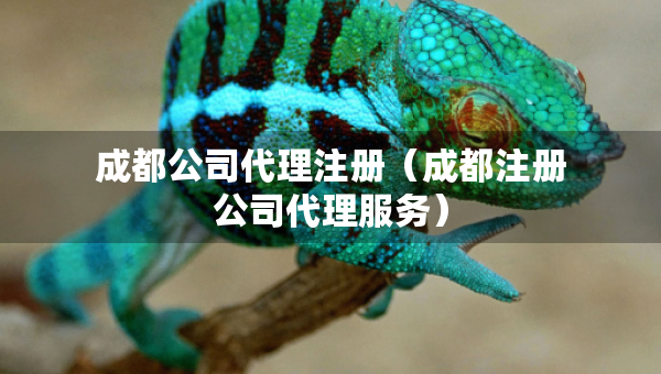 成都公司代理注冊(cè)（成都注冊(cè)公司代理服務(wù)）
