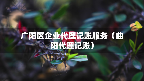廣陽區(qū)企業(yè)代理記賬服務(wù)（曲陽代理記賬）