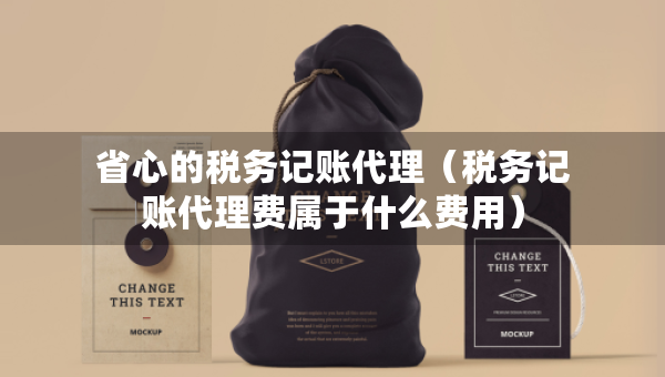 省心的稅務(wù)記賬代理（稅務(wù)記賬代理費屬于什么費用）