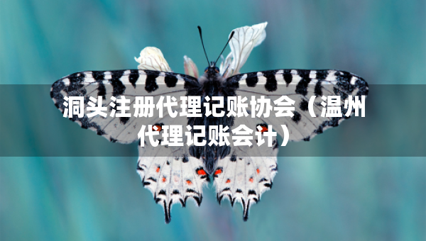 洞頭注冊代理記賬協(xié)會（溫州代理記賬會計）