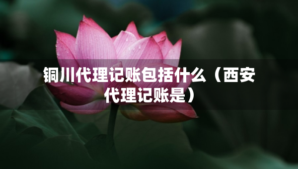 銅川代理記賬包括什么（西安代理記賬是）