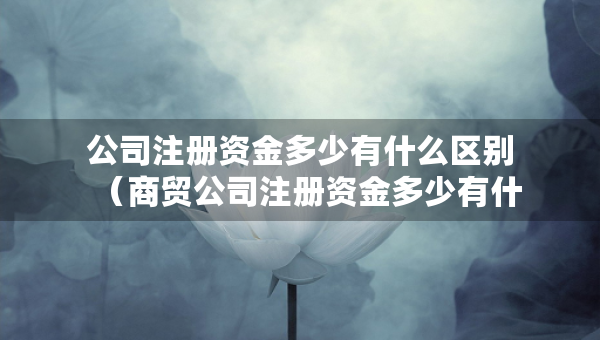 公司注冊資金多少有什么區(qū)別（商貿(mào)公司注冊資金多少有什么區(qū)別）