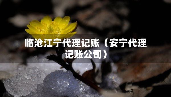 臨滄江寧代理記賬（安寧代理記賬公司）