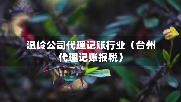 溫嶺公司代理記賬行業(yè)（臺州代理記賬報稅）