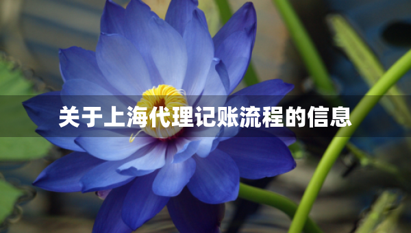 關(guān)于上海代理記賬流程的信息