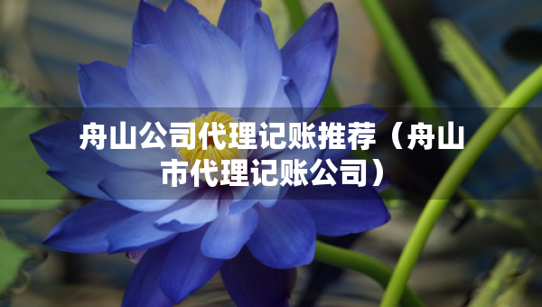舟山公司代理記賬推薦（舟山市代理記賬公司）