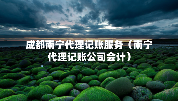 成都南寧代理記賬服務(wù)（南寧代理記賬公司會計(jì)）