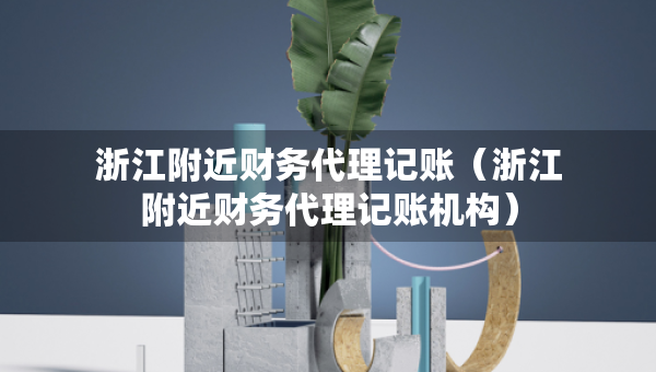浙江附近財(cái)務(wù)代理記賬（浙江附近財(cái)務(wù)代理記賬機(jī)構(gòu)）