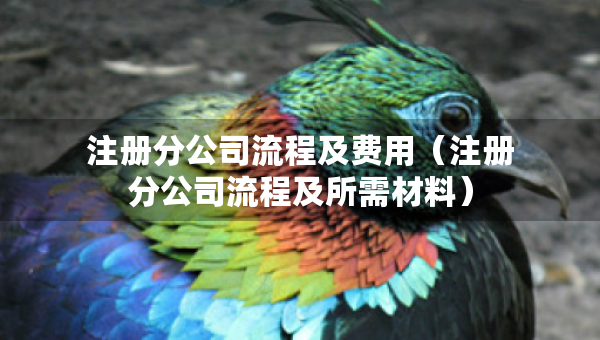 注冊分公司流程及費用（注冊分公司流程及所需材料）