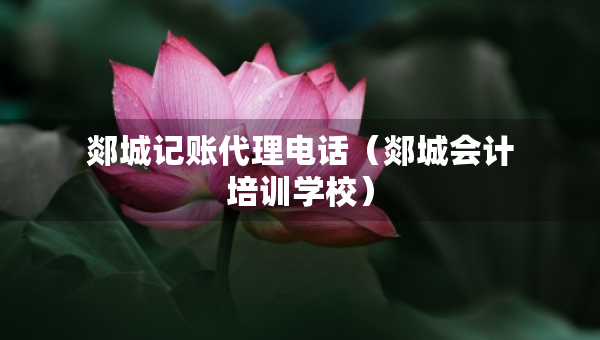 郯城記賬代理電話（郯城會(huì)計(jì)培訓(xùn)學(xué)校）
