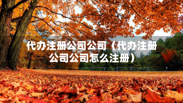 代辦注冊(cè)公司公司（代辦注冊(cè)公司公司怎么注冊(cè)）