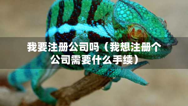我要注冊(cè)公司嗎（我想注冊(cè)個(gè)公司需要什么手續(xù)）