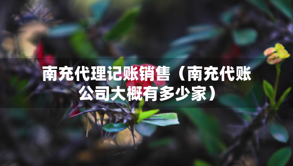 南充代理記賬銷售（南充代賬公司大概有多少家）