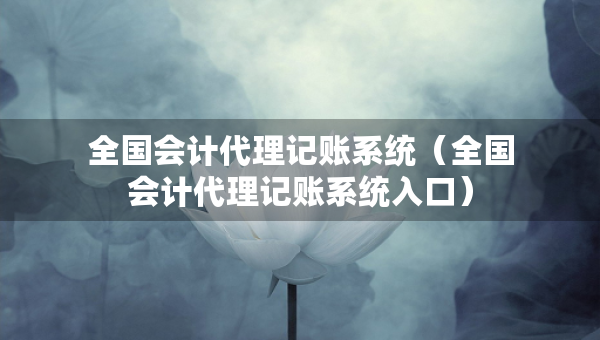 全國會計(jì)代理記賬系統(tǒng)（全國會計(jì)代理記賬系統(tǒng)入口）