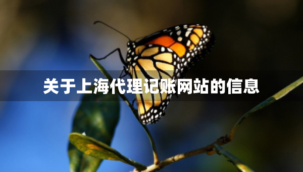 關(guān)于上海代理記賬網(wǎng)站的信息